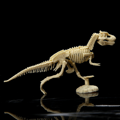 奇趣考古挖掘玩具拼装恐龙骨骼石膏模型化石手工diy霸王龙三角龙