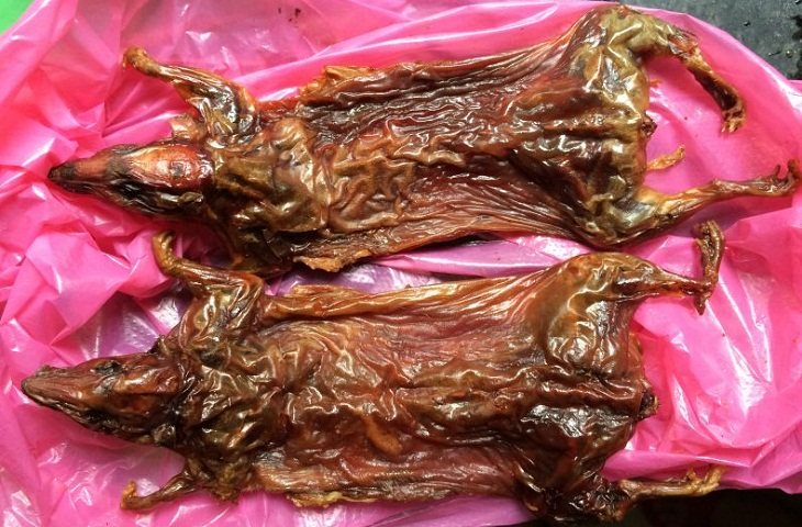 湖南特产零食小吃益阳麻香辣卤味酱板鸭脖子手撕肉250g包邮