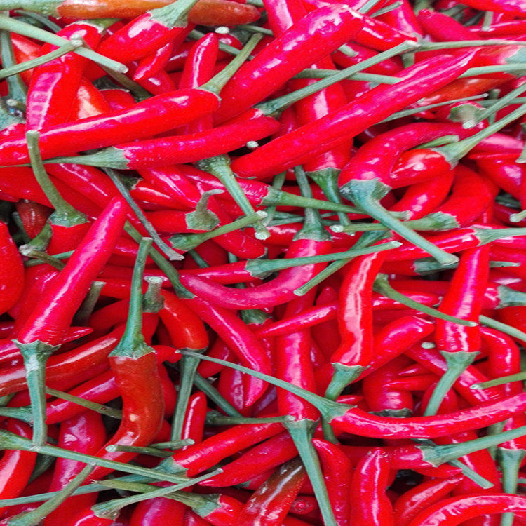 云南玉溪土特产品新鲜蔬菜红小米辣朝天椒优质小米辣椒做剁辣