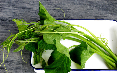 南瓜叶新鲜南瓜藤蔬菜农家野生南瓜禾头南瓜头南瓜梗南瓜尖南瓜叶