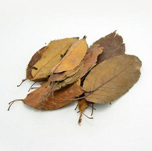 古树野生山楂叶干特产干货下火凉茶 梨楂叶茶降火养生茶200克包邮