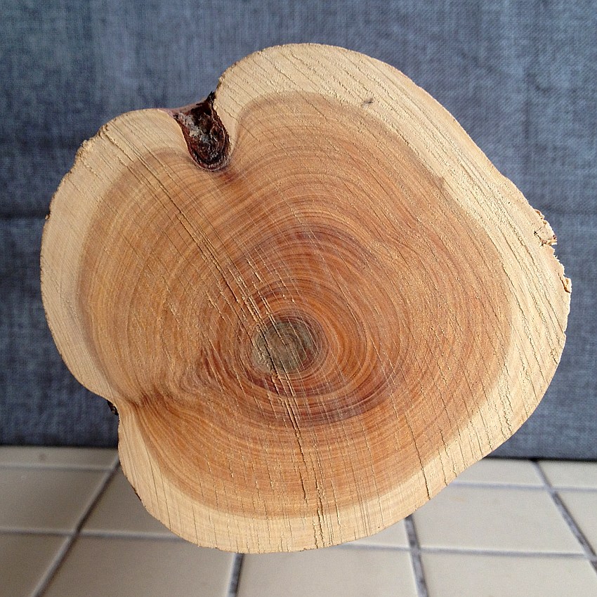 孤品檀香木摆件 檀香原木 澳洲进口 西澳树桩 超精选 雕刻好料