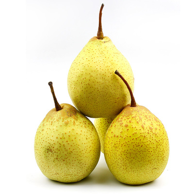 预售2017河北鸭梨新鲜应季水果胜雪花啤酒梨子莱阳皇冠梨5斤包邮