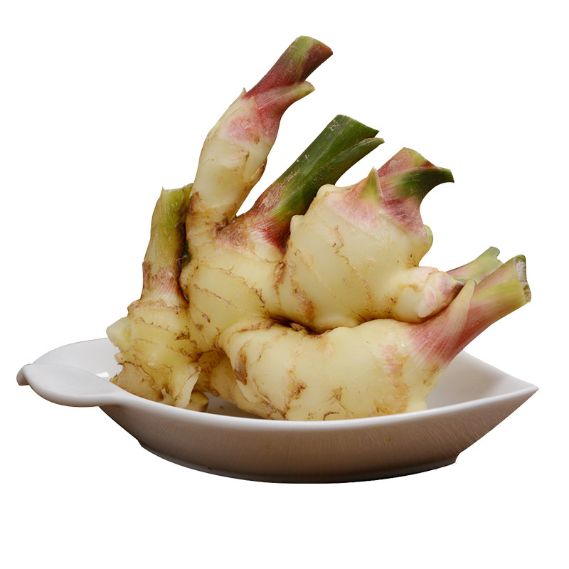 2017年安丘新鲜仔姜子姜红芽鲜姜嫩姜鲜姜芽生姜5斤装