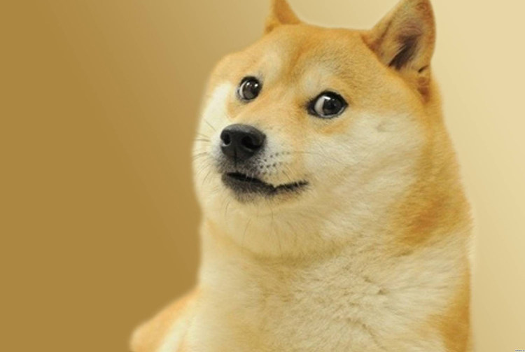 doge神烦狗丧心病狂精神污染木质成人拼图1000片创意恶搞整蛊礼物