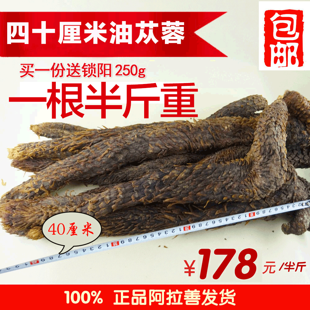 阿拉善野生油肉性蓯蓉內蒙古40釐米中藥材送鎖陽軟大芸250g包郵