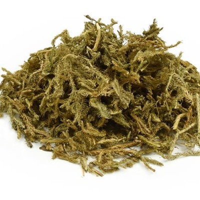 伸筋草 6斤包邮 舒筋草 石松 狮子尾 大伸筋草 中药材 500克6元