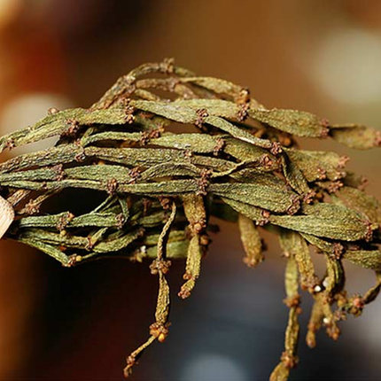 云南普洱茶生茶 2017年古树寄生螃蟹脚 散茶 500g 野生螃蟹脚茶_不