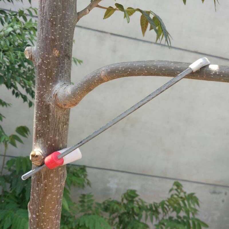 果树可调式开角器 拉枝器 拨枝器 压枝器 园林工具别枝器 ￥0.