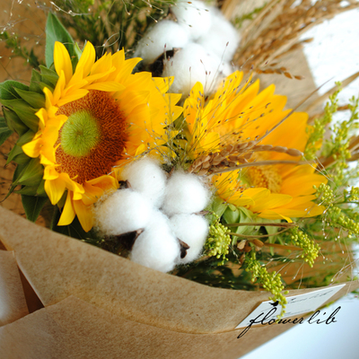 flowerlib植物图书馆花束全国杭州鲜花速递生日小花束棉花向日葵