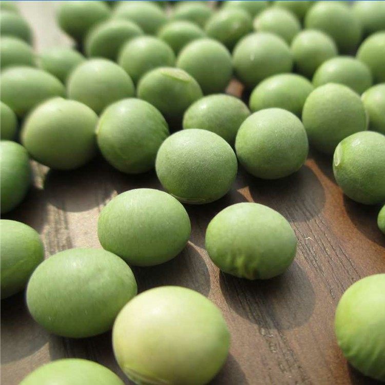 16年新货 东北优质青豆 青黄豆500g(多吃杂粮 )可榨豆浆