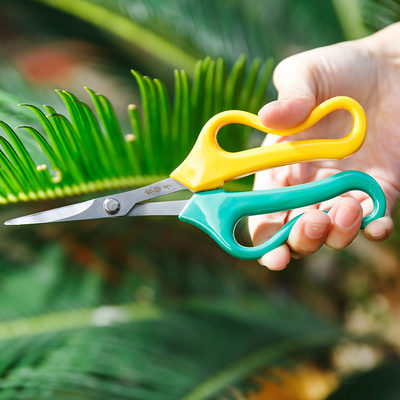 特价园林翘头园艺剪采果剪刀指定款蔬果剪葡萄桔子剪柑橘采摘剪