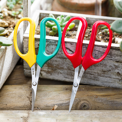 特价园林翘头园艺剪采果剪刀指定款蔬果剪葡萄桔子剪柑橘采摘剪