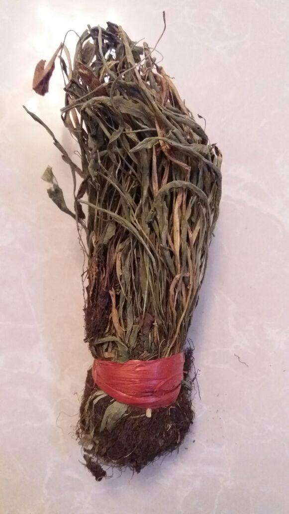 伏牛山名贵天然罕野生正品中药材 过桥草 马蹬草 还阳草 产地