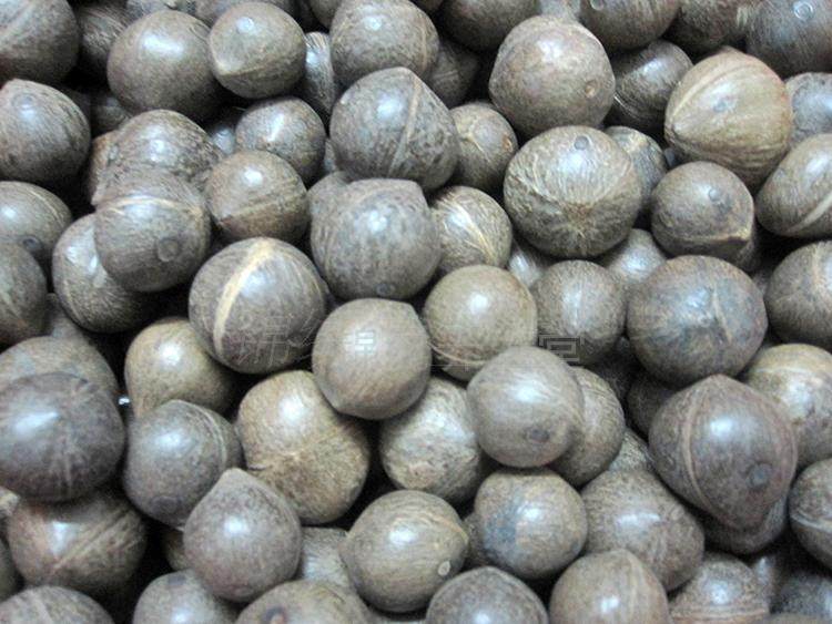 新货非洲 进口海椰皇 海椰子皇 海椰王复 椰子500克包邮坏果包赔