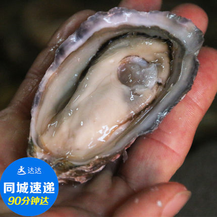日式料理/刺身 进口珍珠象拔蚌 深海 1kg_不打折现价138.00元