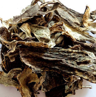 中药材 蟾皮 干癞蛤蟆皮 老蟾蜍皮 活蟾蜍 蟾衣 蟾蜍干蟾蜍 特价