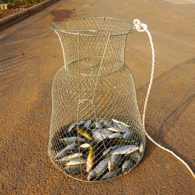 钢丝折叠鱼护 野钓必备方便携带 速干渔护 黄颡鱼网兜 软鱼笼鱼篓