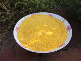 农家自产 玉米渣 玉米糁 玉米碎粒玉米粥吃粗粮保健康250g满包邮