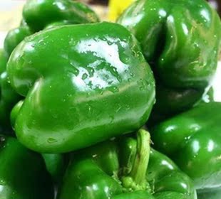 新鲜蔬菜 圆辣椒 大圆椒 青椒 农户种植直销 青五彩椒