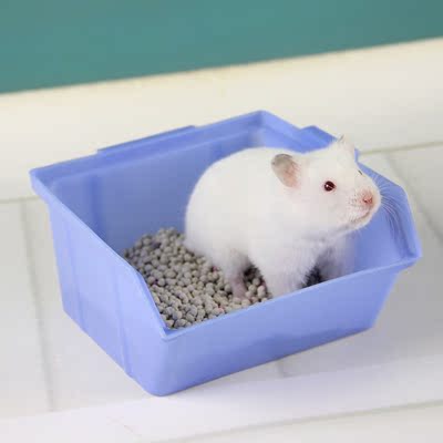 仓鼠 用品 玉米芯 西施熊长毛熊仔必备垫材垫料 400g买5送1      新品