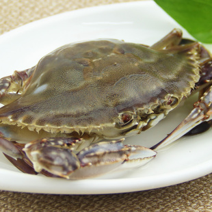 螃蟹公蟹3斤顺丰包邮当天捕捞 舟山鲜活野生三疣梭子蟹白蟹飞蟹活螃蟹