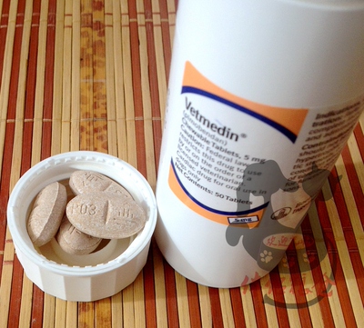 单粒拆售正品德国vetmedin匹莫苯丹犬心脏片/心衰/心脏肥大/单粒