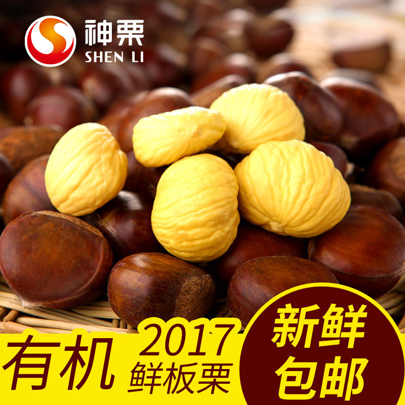燕山硕丰板栗,板栗新品种硕丰,硕丰(第8页)_大山谷图库