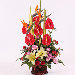 粉色扶郎花合肥同城速递手提花篮配送苏州福州温州深圳珠海哈尔滨