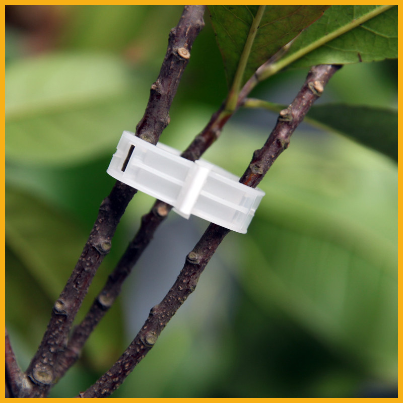 满包邮 植物固定夹嫁接夹西红柿卡扣夹塑料绑蔓夹 其它园艺用品