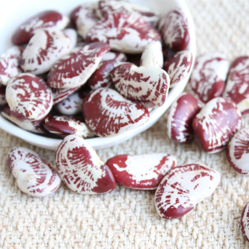 云南农家大肾豆250g 荷包豆皇帝豆斑马豆 状元豆 豆类杂粮粗粮