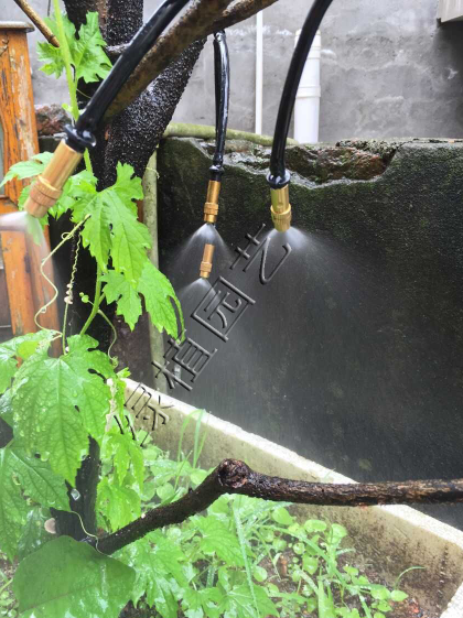 新款定时自动浇花器 滴灌设备雾化微喷家庭花园阳台露台淋水系统
