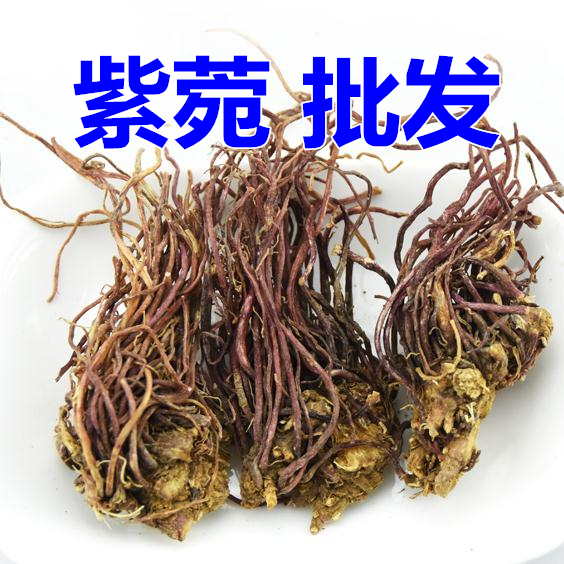 靜萱紫菀500克子菀子苑紫苑紫蒨紫倩紫菀頭青苑小辮山白菜生紫菀