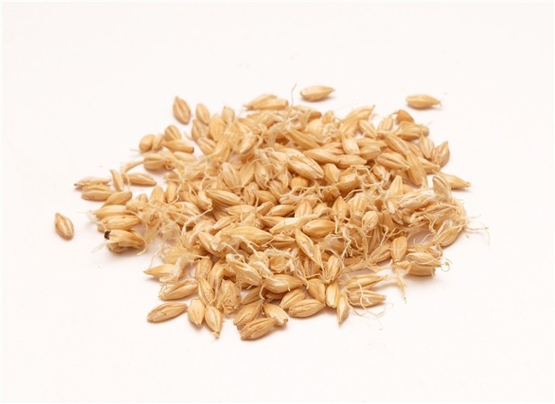 生麦芽 6斤包邮 麦芽 另有炒麦芽 大麦芽 中药材供应 500克5元_爱酷商