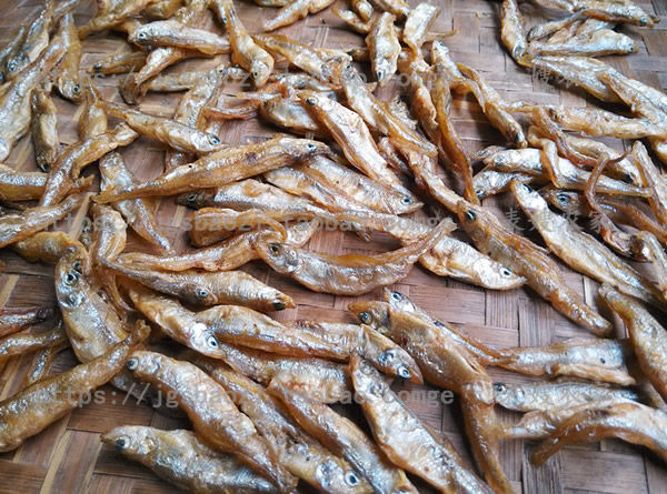 井冈山野生小鱼干小石鱼火培鱼溪水鱼苗子淡水鱼绿色有机2份包邮