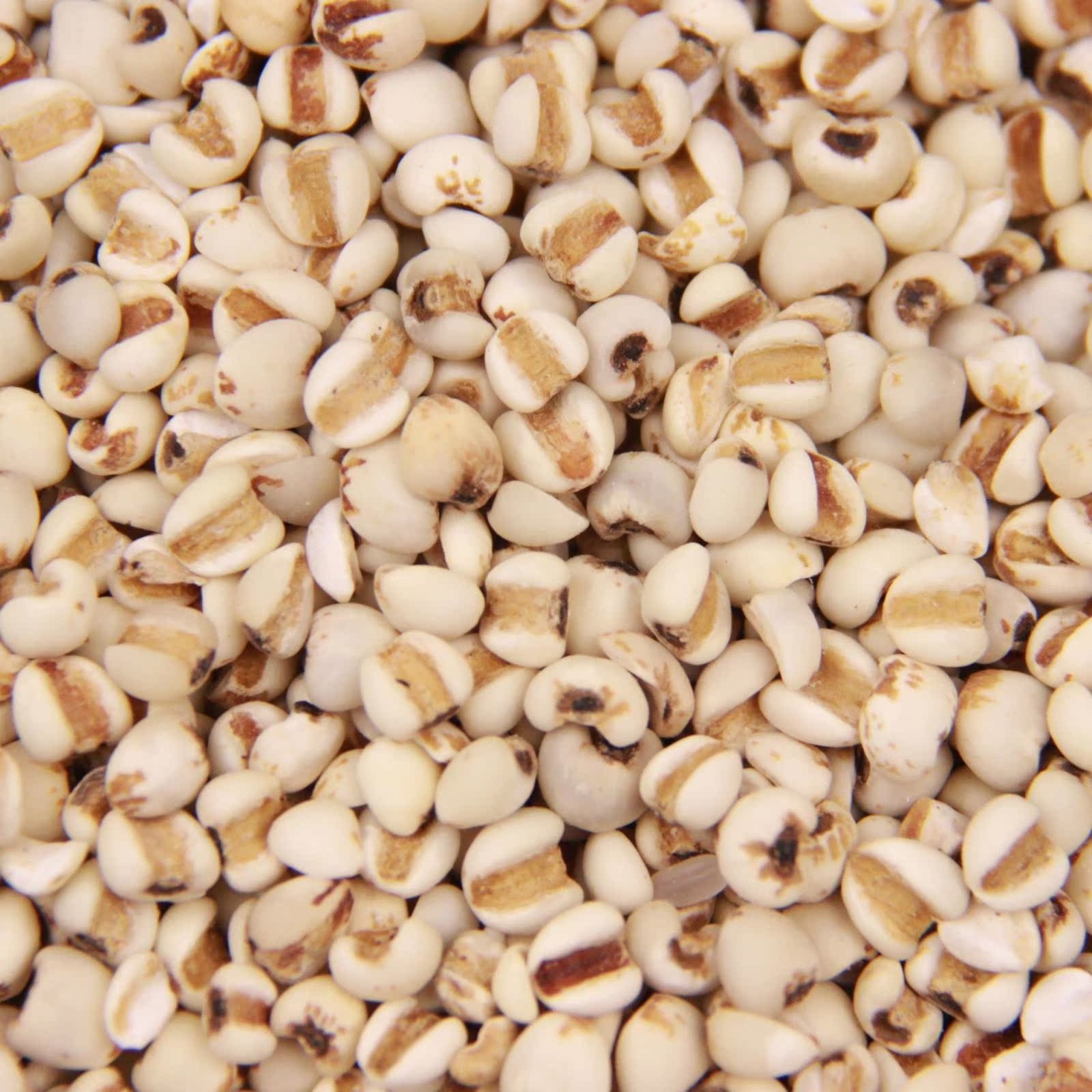 满15包邮农家自产优质薏仁米薏米薏苡仁米 红豆伴侣佳品250g
