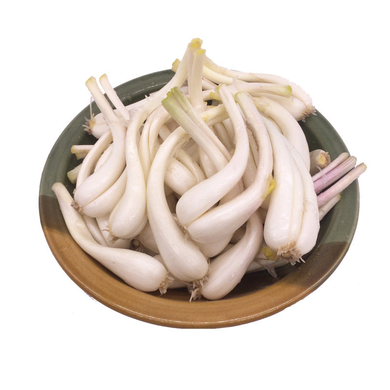 新鲜荞头图片,荞头图片,荞头菜图片(第2页)_大山谷图库
