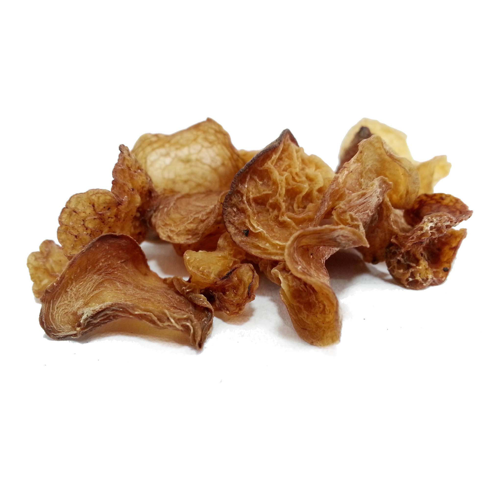 野生珍珠菌 羊肚耳 灵芝菌 云南野生菌 500克 很好吃的木耳包邮