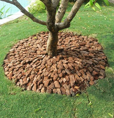 松树皮 松鳞 园林景观绿化树池铺面装饰大包美观树皮基质保湿保温