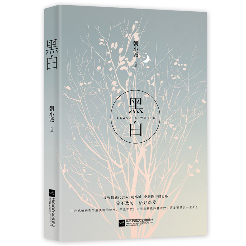 【赠精美书签】黑白小说书 朝小诚经典力作全新修订版 黑白书唐易纪以