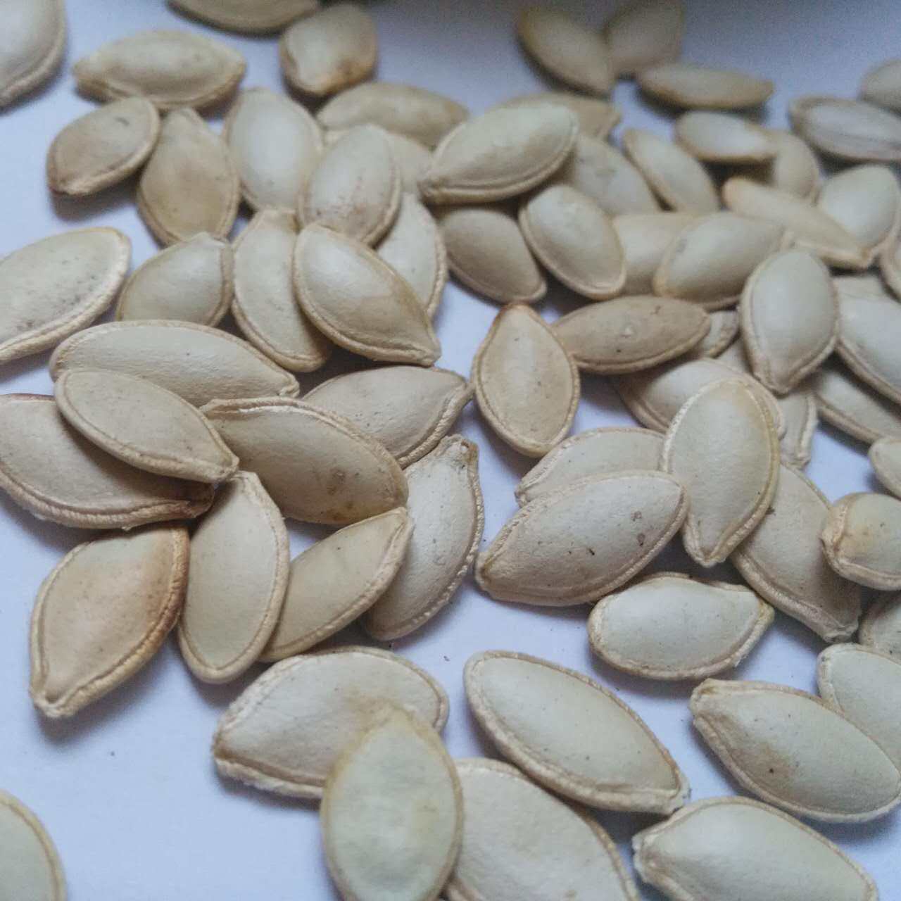 16年新货南瓜子小南瓜籽500g原味生熟南瓜子坚果炒货云南特产