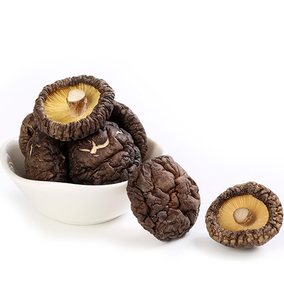 磐安地理标志产品 磐安香菇 香菇干 100g