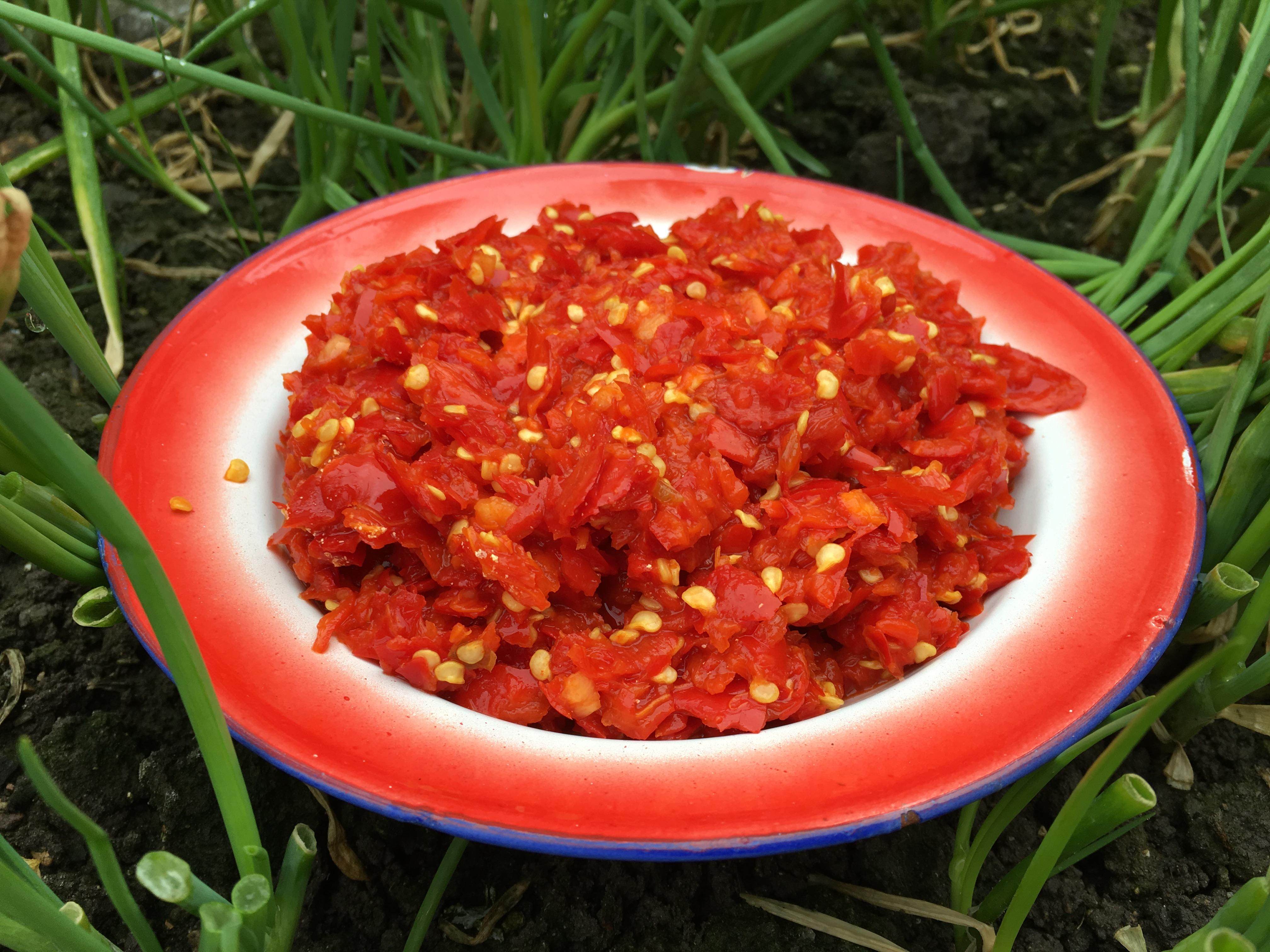 贵州特产 酸辣椒 手工糟辣椒 海椒剁椒酱 开胃下饭菜480g 1份包邮