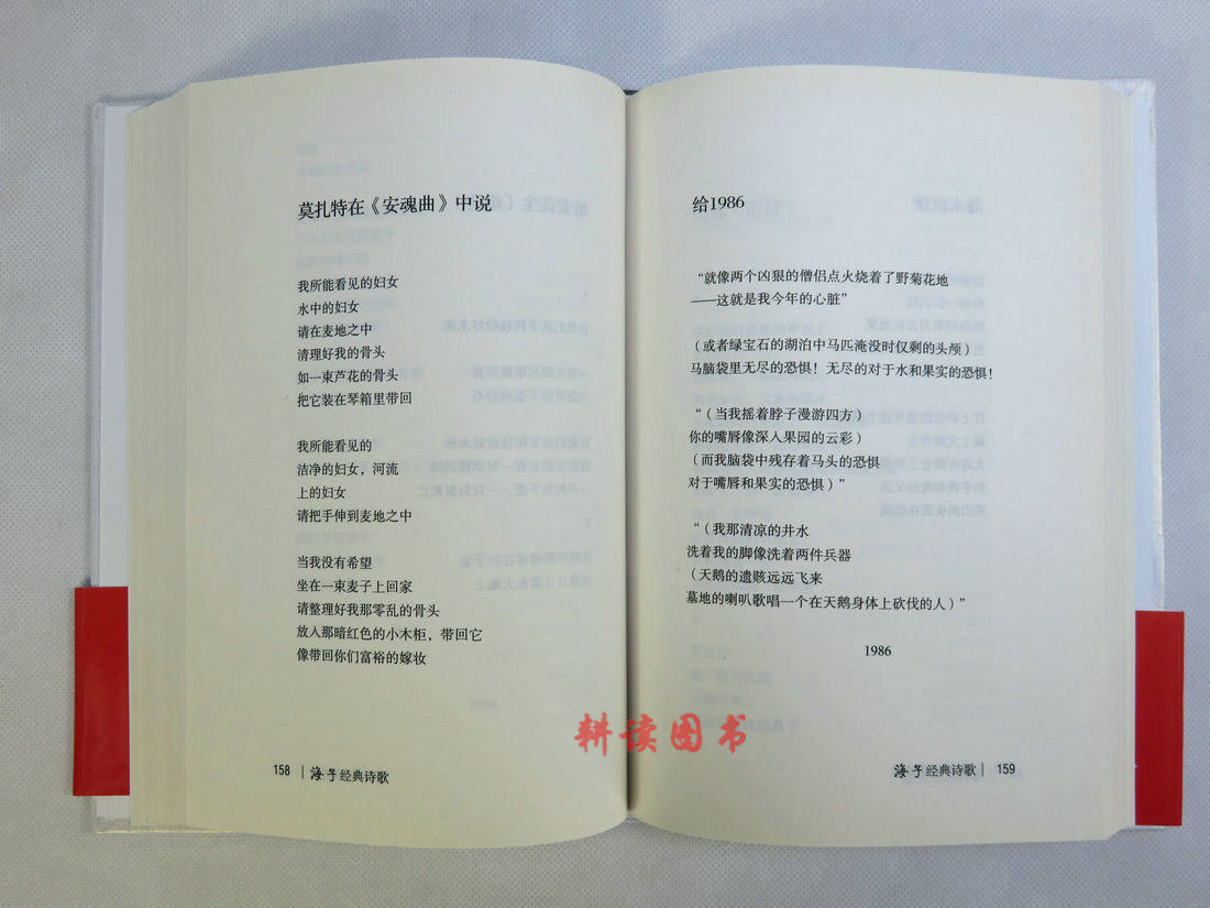 海子人物评价,海子,春天十个海子_大山谷图库