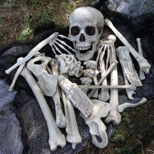 鬼屋密室逃脱酒吧恐怖道具万圣节装饰骷髅骨架仿真人体碎骨头棒子