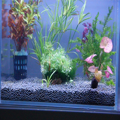 陶粒砂底砂鱼缸石子底砂造景沙水族陶粒沙水草泥基肥5斤10斤包邮