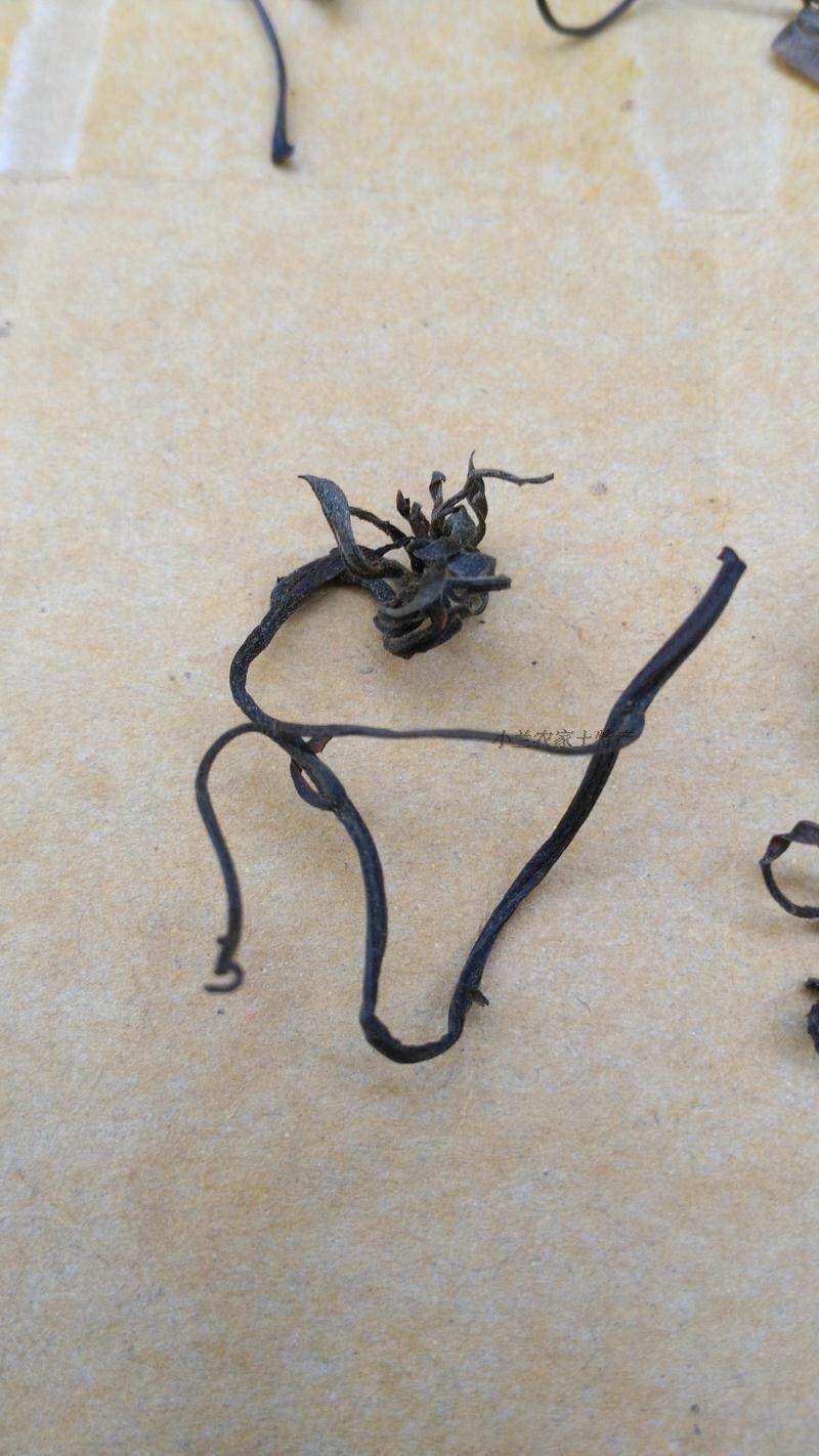 南北干货檀芽农家自制土特产脱水蔬菜干野菜新鲜嫩檀芽干250g包邮