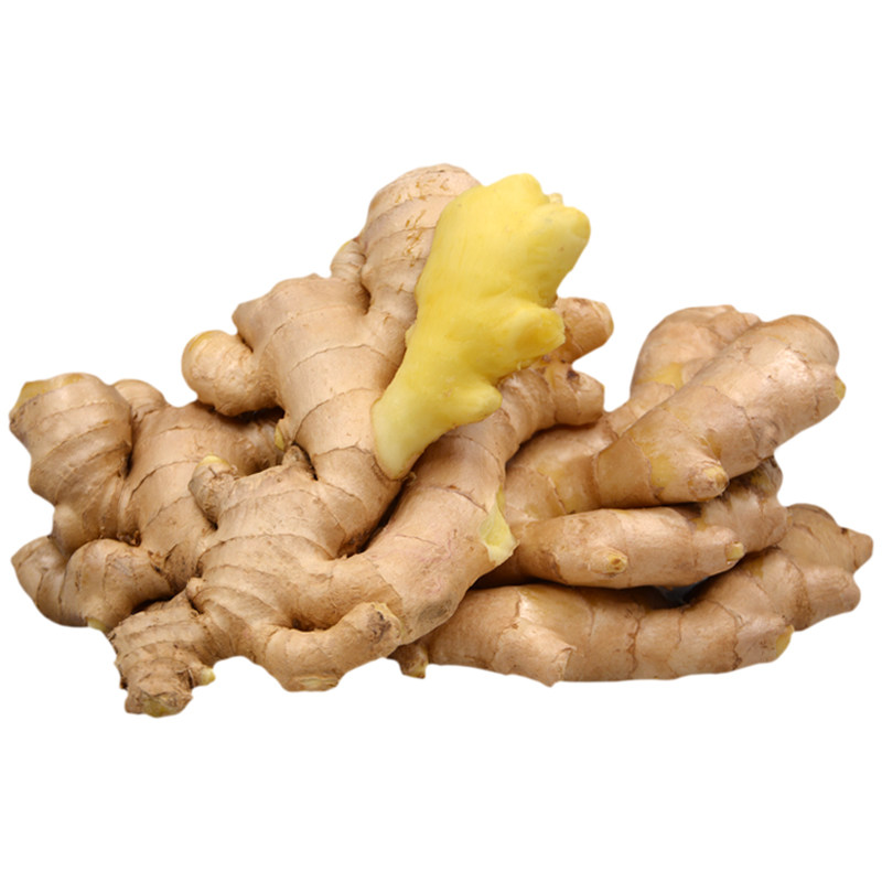 姜老大 山东小姜生姜娃娃姜小黄姜新鲜5斤装农家自产山东特产