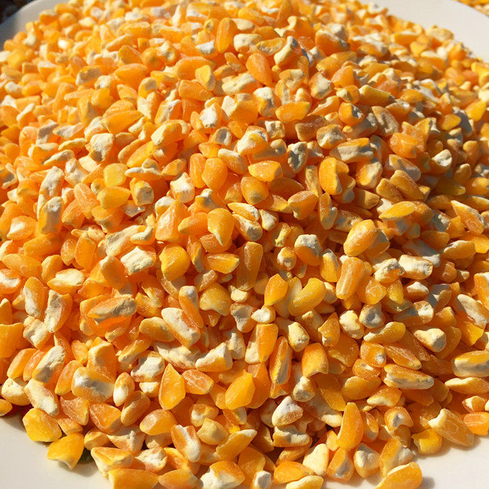 东北农家自产玉米碴 玉米渣大碴子粥苞米茬子非转基因 满包邮500g