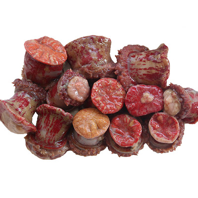 海之沃海鲜 煲汤 另类海鲜味鲜美 海葵 海腚根 饭店食材 满包邮